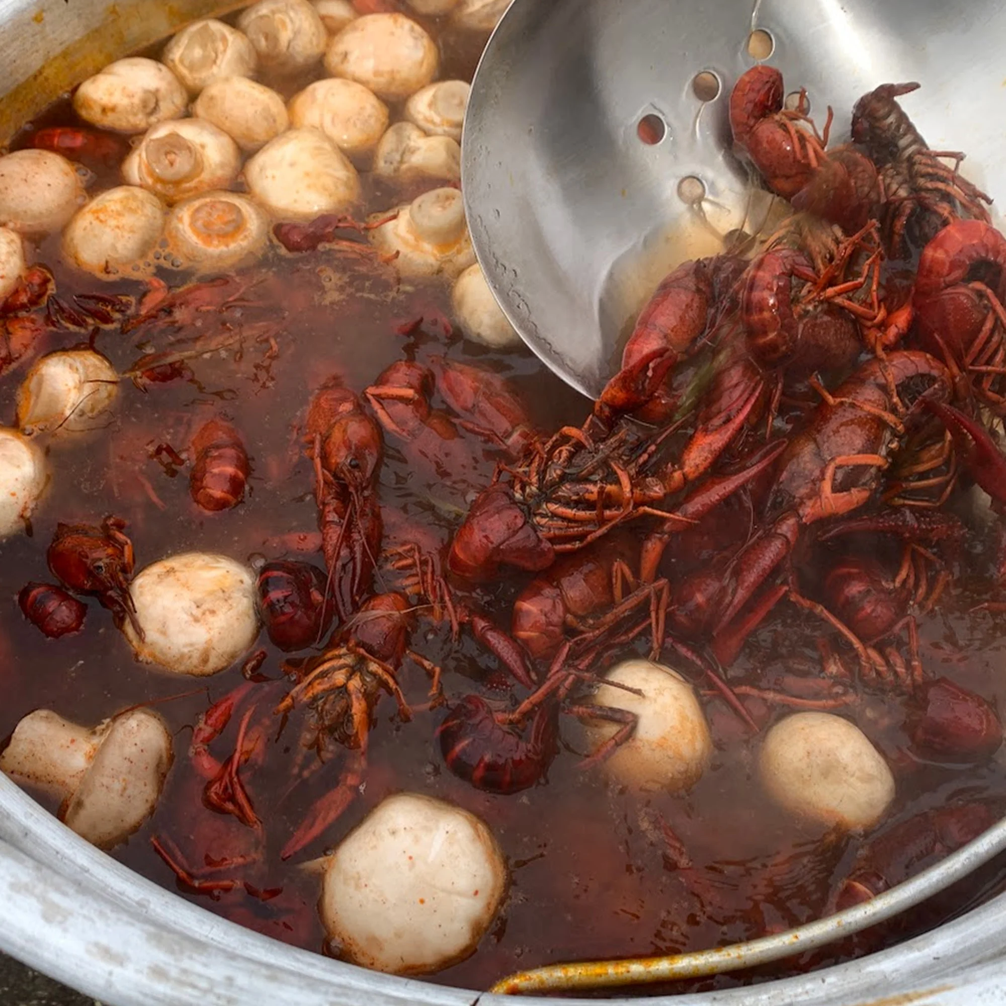 Aluminum Bayou® Boilers - Image 5