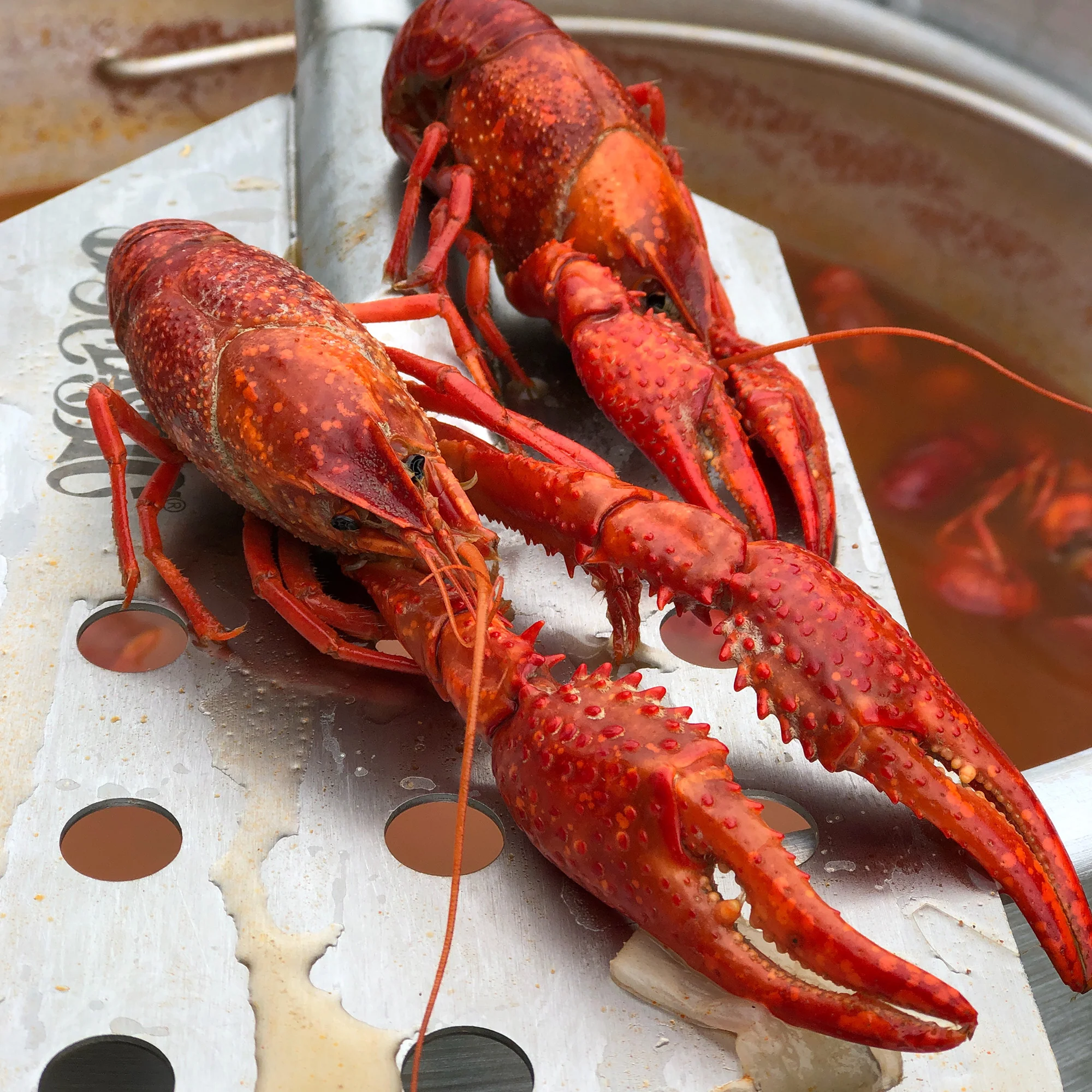 18-in Dual Jet Cooker - Image 3