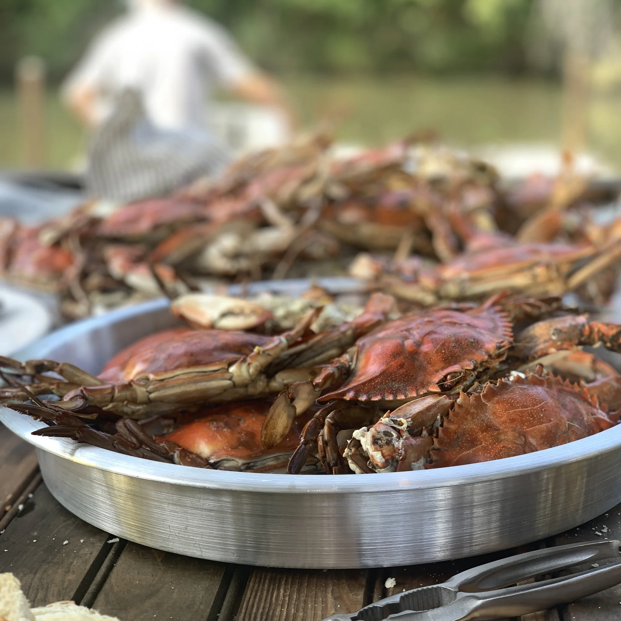 14-in Seafood Serving Tray ~ 4-pc Set - Image 3